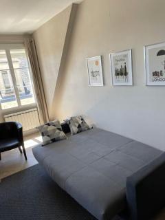 Les Mansardes du centre ville ,vue Loire - Blois - 1