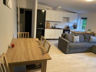 Apartament w malowniczej Sosnówce - Sosnówka - 7