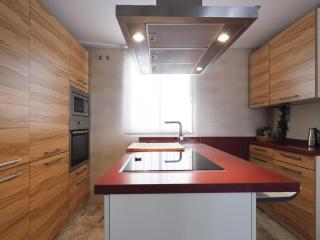 Fantástico duplex 2 terrazas 3 habitaciones 2 baños - Séville - 1