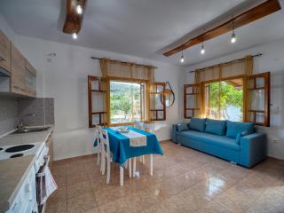 Σπιτι στην εξοχη - Country House Milina - 0