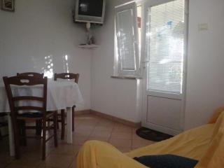Apartment in Kustici with sea view, terrace, air conditioning, WiFi (3597-5) - Kustići - 0