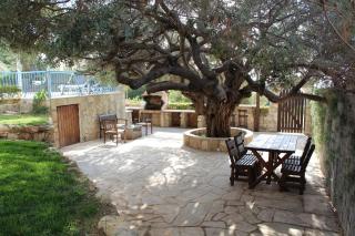 Olive Beach Villa - Peyia - 1