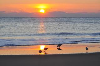 SeaLoft Oceanfront Hotel - Ocean City - 1