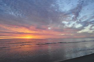 SeaLoft Oceanfront Hotel - Ocean City - 2