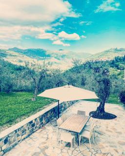 Casa vacanze gli ulivi - Borgomaro - 3