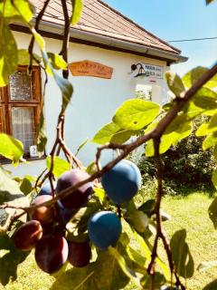 Ubytovanie u Aranky - Čierna nad Tisou - 0