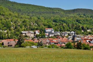 Villa Frieden Hotel & Seminarhaus - Bad Blankenburg - 9
