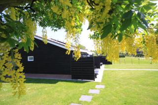 B&B Beach&Bos - Oostvoorne - 8