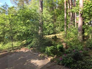 Wald und Wohlsein - 6