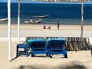 White Lion - Malindi - 5