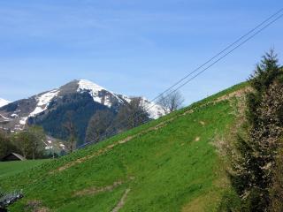 Haus Bergheim - Saalbach-Hinterglemm - 3