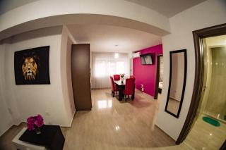 Apartment Gabriela's Home - Oradea - 9