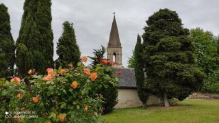 L'ANGELINE - Gennes - 7