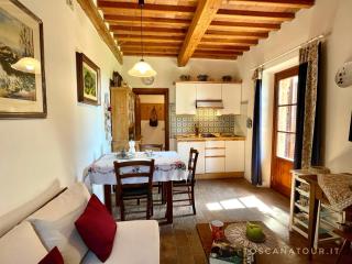 Podere Morena with sea view, private garden, by ToscanaTour Luca - Guardistallo - 6