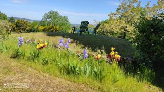 L'ANGELINE - Gennes - 4