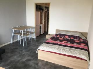 Joli studio proche des châteaux et du parc de Beauval - Montrichard - 0