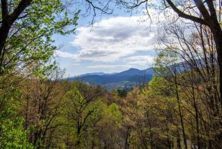 Bear View Chalet with hot tub and near Ober - 9
