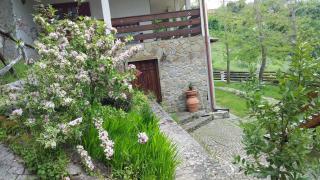 B&B Casa Rosella - Country house - Bellegra - 5