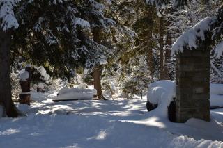 Alle pendici del Monte Rosa - Champoluc - 8