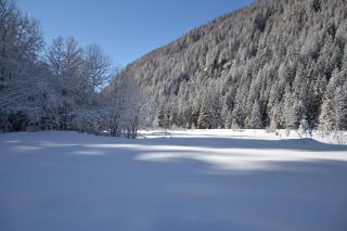 Alle pendici del Monte Rosa - Champoluc - 7