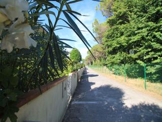 Apartment in Eraclea Mare 40761 - Eraclea Mare - 2
