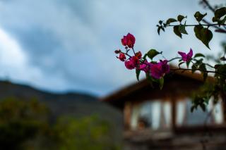 "Acogedora Cabaña Ojo de Agua en Villa de Leyva -Vistas Increíbles de las Montañas Iguaque! - 5
