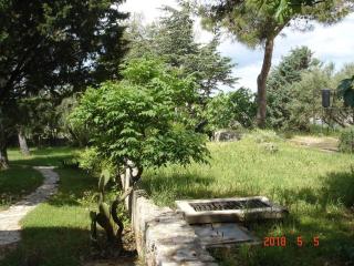 Beachfront Studio 4526-3 - Punat - 7