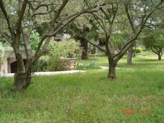 Beachfront Studio 4526-3 - Punat - 1