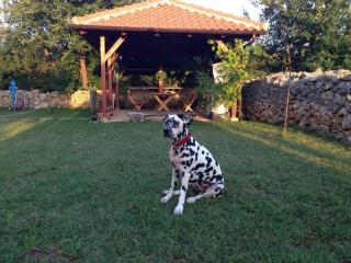 Apartment 3796-1 - 2