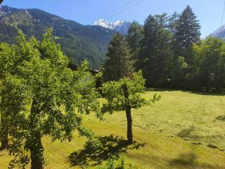 LANDHAUS DORNAU Apartments - 2