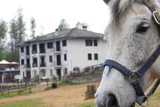 Favetto Family Ranch - Rueglio - 8