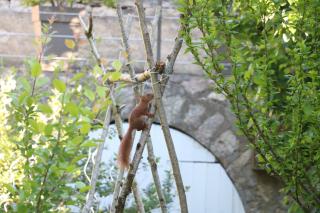 Suite independante a Nuits - 8