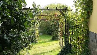 Genesungsort Landhaus Dammert - Oppach - 3