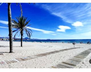 Sunny Duplex in front of Campello beach - El Campello - 8