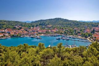 Studio Apartment in Preko with Sea View, Terrace, Air Conditioning, Wi-Fi (4574-2) - Preko - 5