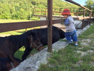 Favetto Family Ranch - Rueglio - 4