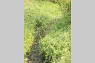 Gospodarstwo Agroturystyczne U Nos Apartament Bioły - 1