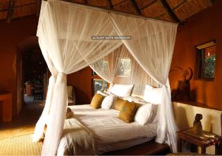 Leshiba Wilderness - 4