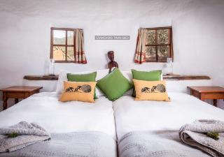 Leshiba Wilderness - 6