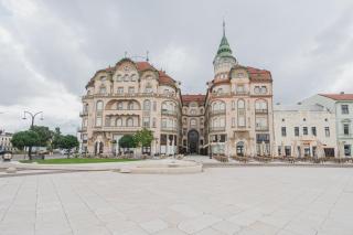Black Eagle Loft - Oradea - 8