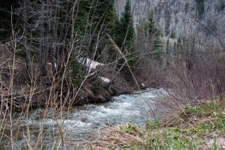 672 Beaver Circle - Durango Mountain Resort - 6