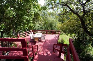 3830 County Road 124 - Hesperus - 8