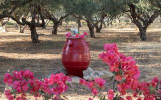 Xirouchakis farm - Císsamos - 0