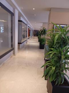 Primera línea de playa y vista al mar en Pyr Fuengirola Estudio - Fuengirola - 4