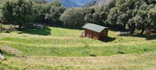 Casa Sarrinca - Serra-di-Scopamene - 6