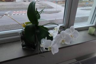 Homestay - private room in an apartment - 3