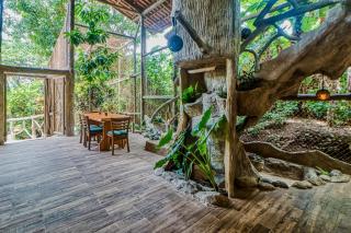 Casa Aviari - Cabo Matapalo - 0