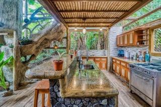 Casa Aviari - Cabo Matapalo - 1