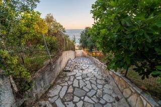 THE HAPPINESS OF VANGELIS - 5