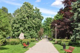 THE HEART OF NOWA HUTA - free garage - 1